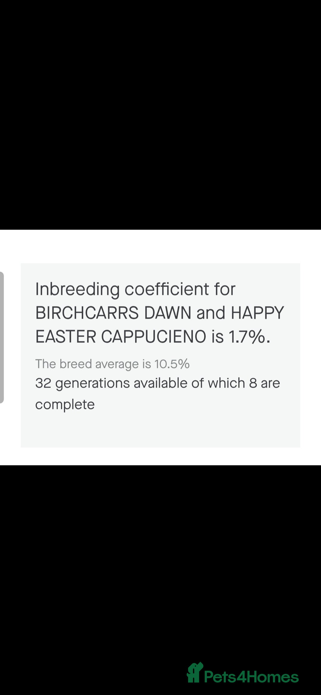 Cocker Spaniel dogs for sale: Kc registered show type puppies - Image 7