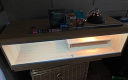 Bearded Dragon reptiles for sale: Bearded Dragon Vivarium Setup Kit in Downham Market - Image 4