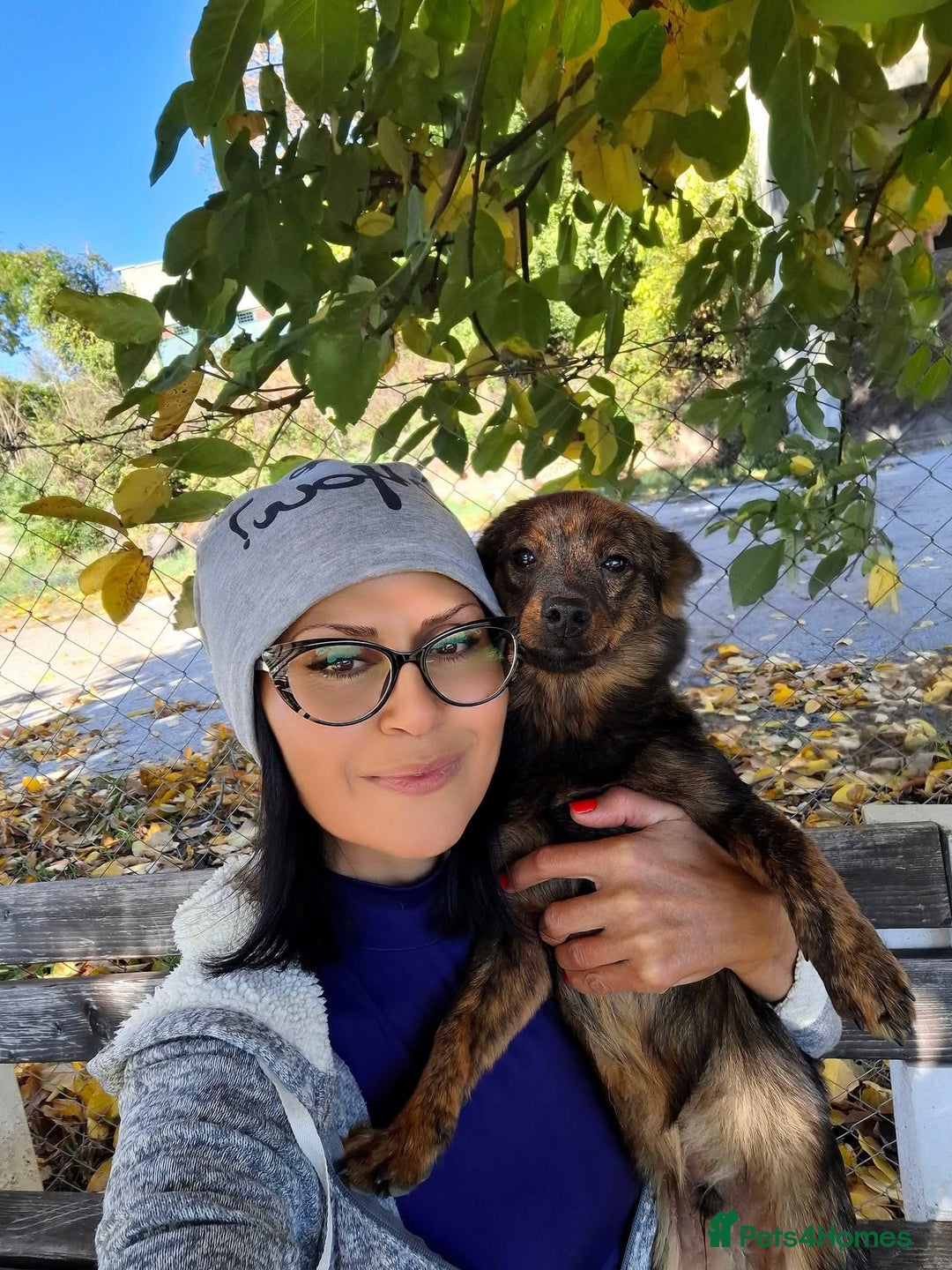 Mixed Breed dogs for adoption: Ivar, 1 yr approx. Available for adoption. - Advert 7