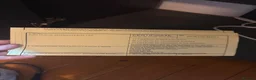 Hermann Tortoise reptiles for sale: Herman tortoise with enclosure set  - Advert 13