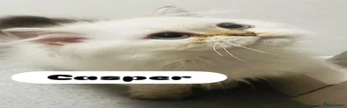 CASPER