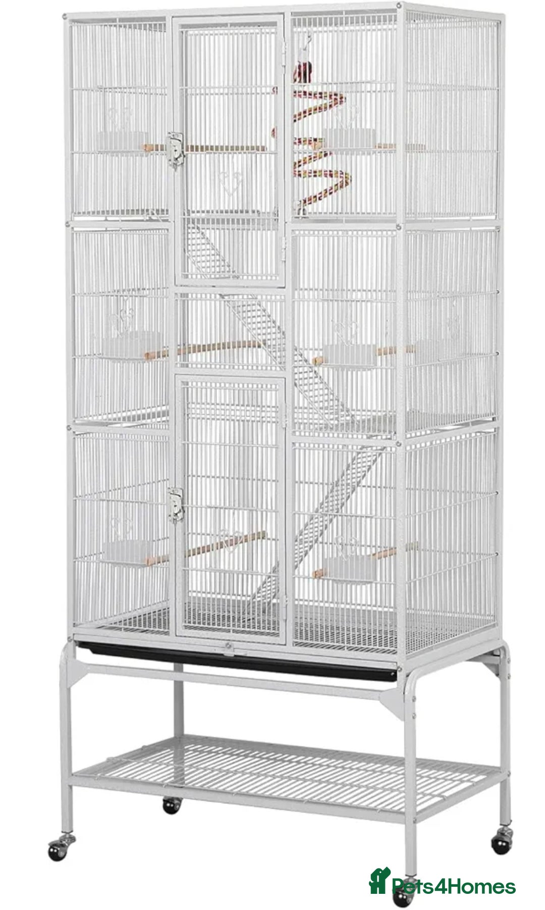 Ringnecks birds for sale: Male & Female Indian Ringneck And Full Setup - Advert 3