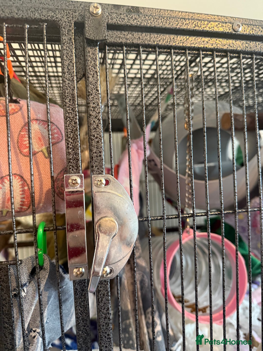 Rat rodents for sale: 3 male rats and massive amount of accessories  - Image 30