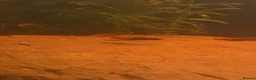 Swordtails fish for sale: Healthy Home-Bred Swordtail Juveniles in Stockport - Advert 4