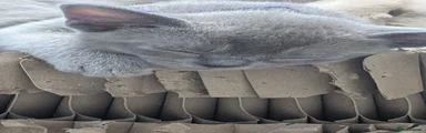 Niknak