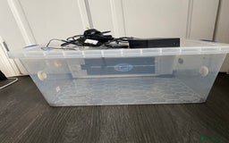 Snails invertebrates for sale: Giant African land snails and enclosure - Image 8