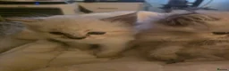 Persian cats for sale: Persain chinchilla  colourpoint kittens for sale  - Advert 6