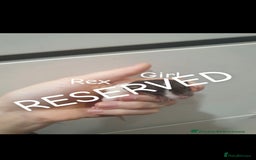 Rat rodents for sale: Beautiful babies available! in Warrington - Image 16