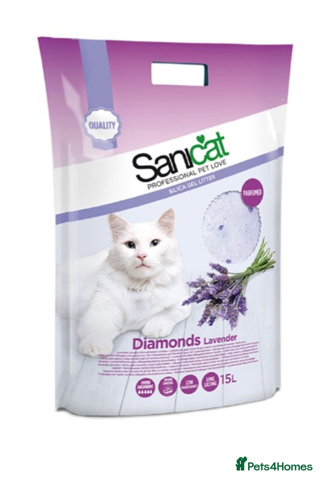 Ragdoll cats for sale: Ragdoll kitten Full Pedigree Beautiful Chunky Boys - Image 11