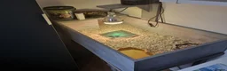 Hermann Tortoise reptiles for sale: Hermann’s Tortoise, Sheldon (With Accessories) in Stockton-on-Tees - Advert 2