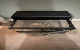 Leopard Gecko reptiles for sale: Gecko/Lizard cage  - Image 3