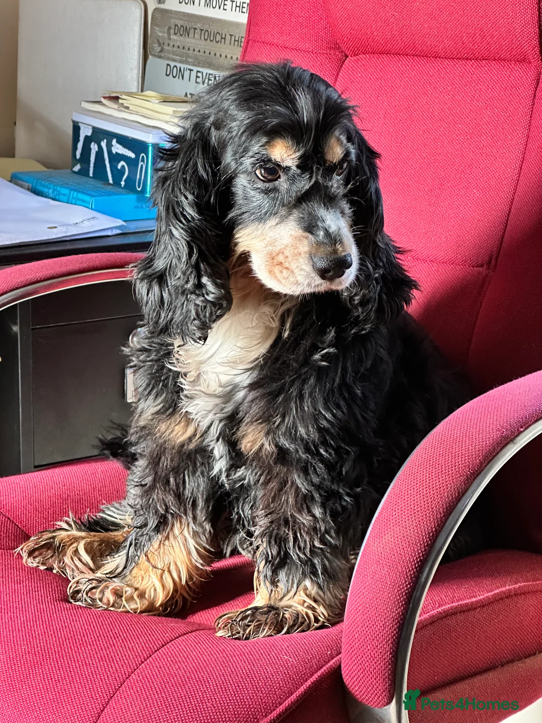 Gallery Image {{count}}