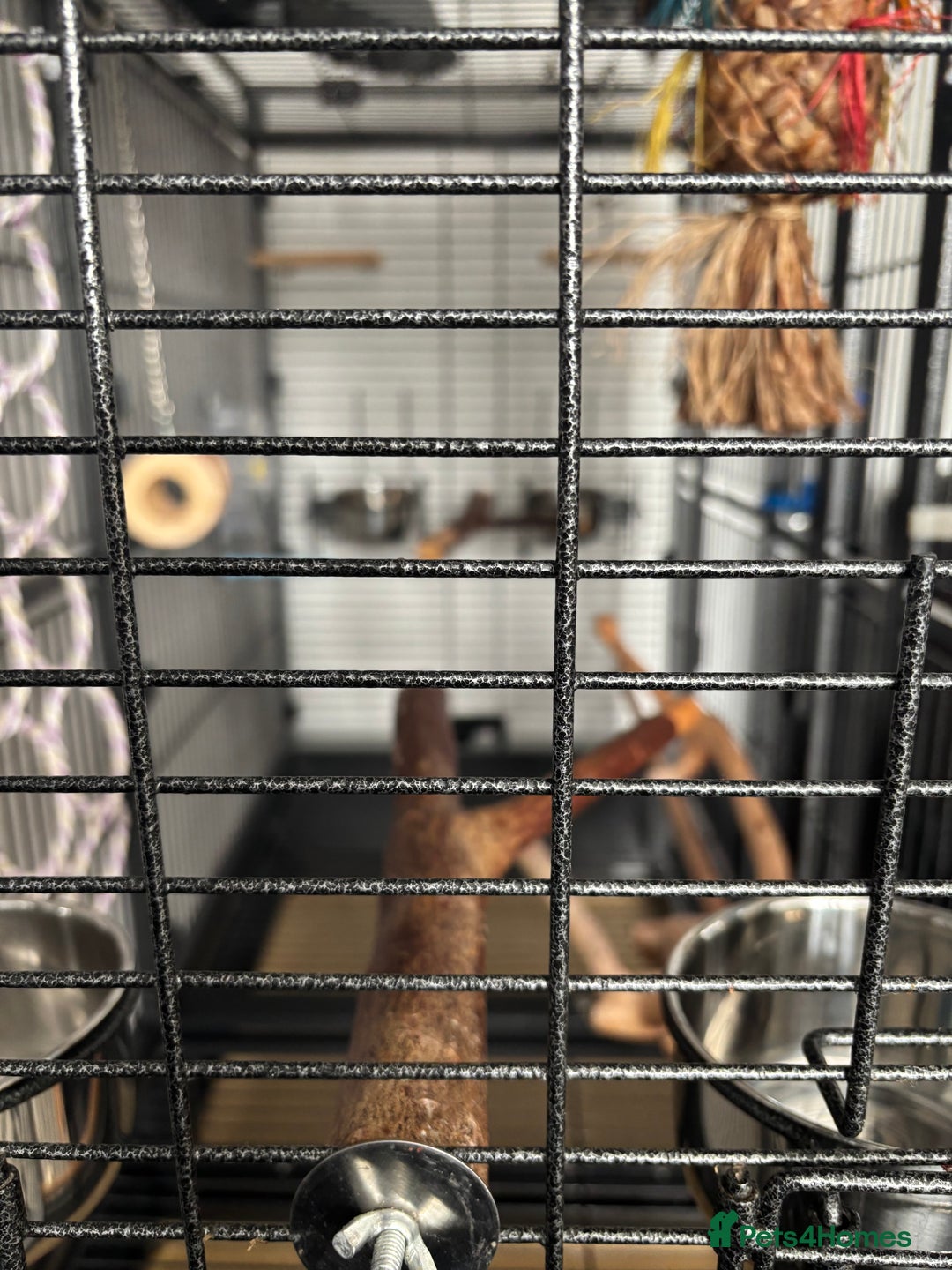 Parrots birds for sale: Large Parrot Cage - Image 14