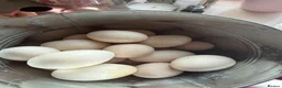 Chickens poultry for sale: Silkie feathered pekin hatching eggs  - Advert 6