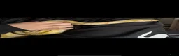 Python Snake reptiles for sale: Banana python  - Advert 2