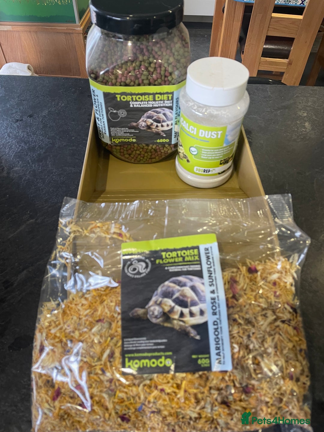 Hermann Tortoise reptiles for sale: Male Hermann Tortoise 5 years old with enclosure  - Advert 12