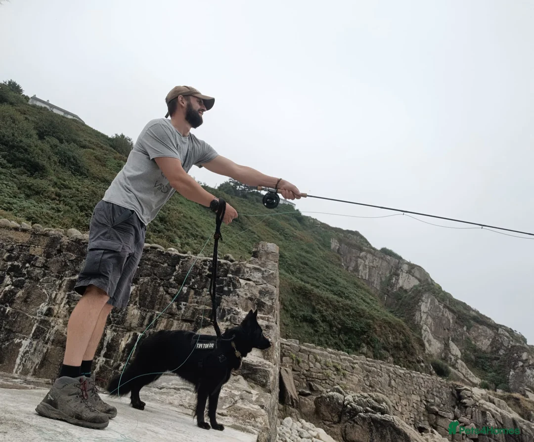 Gallery Image {{count}}