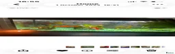 Fancy Goldfish fish for sale: Fish tank  - Advert 1