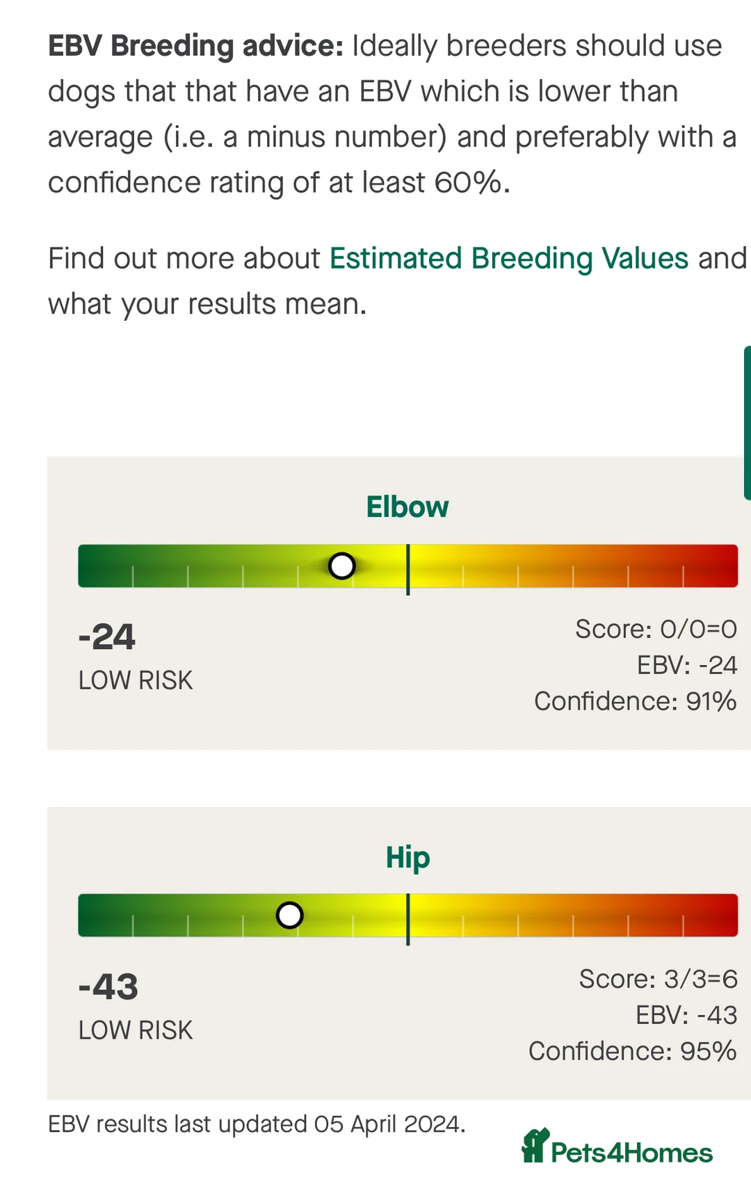 Labrador Retriever dogs for stud: Fox red labrador for stud- FULLY HEALTH TESTED  in Leyburn - Advert 9