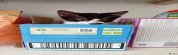 Mixed Breed cats for sale: Mixed litter of kittens in Wigan - Advert 2