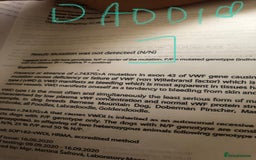 Cockapoo dogs for sale: Fully vac’d Dna health tested clear Cockapoo’s  - Image 3