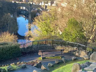 Dachshund dogs Kc Mini long haired dapple in Leeds - Advert 1