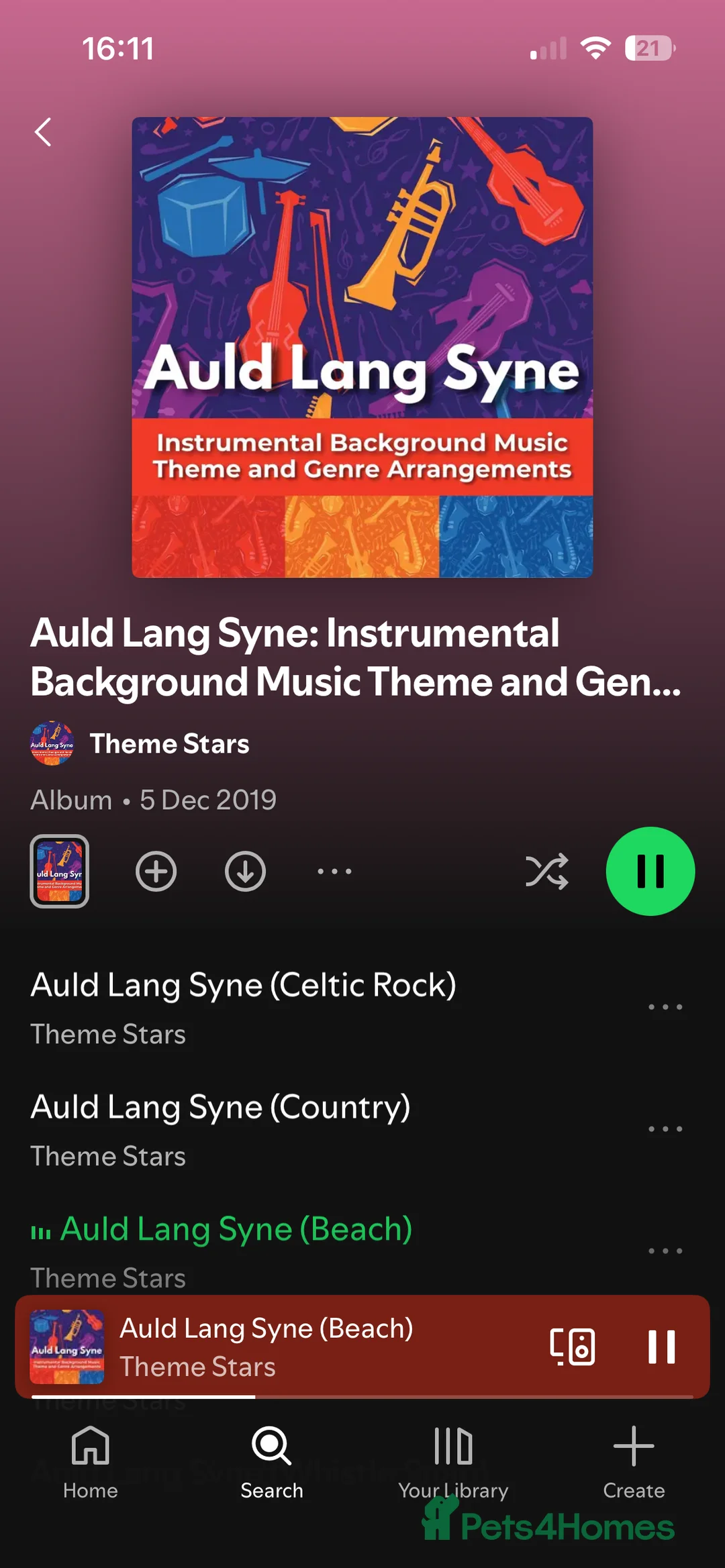 British Shorthair cats for sale: 3 adorable male kittens for sale - Advert 3