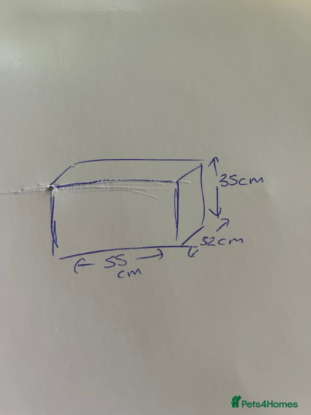 Platies fish for sale: Superfish 60l aquarium  - Advert 3