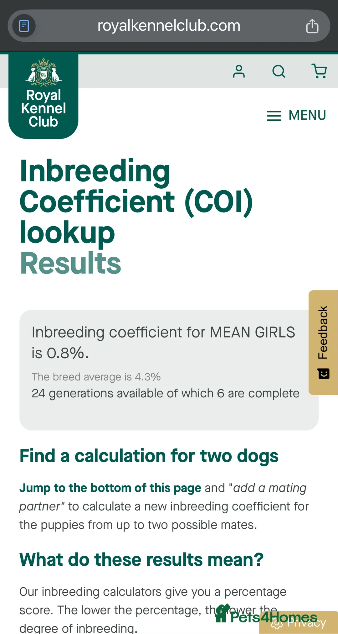 Great Dane dogs for sale: Top Quality KC Registered Great Dane Puppies - Advert 12