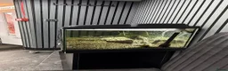 Plecos fish for sale: 160L Aquarium Full Setup with Fish & Filter in Lutterworth - Advert 3