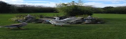 Geese poultry for sale: Geese in Bishop Auckland - Advert 1