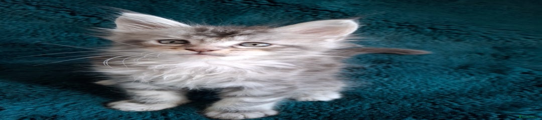 Merlin