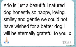 Labrador Retriever dogs for sale: Perfect Litter of 5th Generation Labrador Puppies - Advert 15