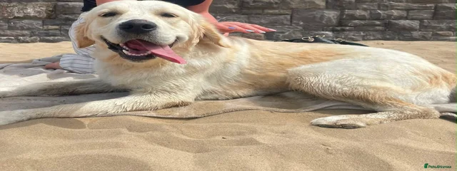 Lenny