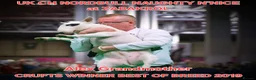 English Bull Terrier dogs for stud: "Pedigree Perfection" one of the best in the world - Advert 3