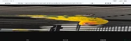 Parrots birds for sale:  5 month old Sun concure male - Advert 1