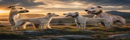 Lurcher dogs for sale: Suki x Charlie - Saluki, Collie, Bull, Grey - Advert 8