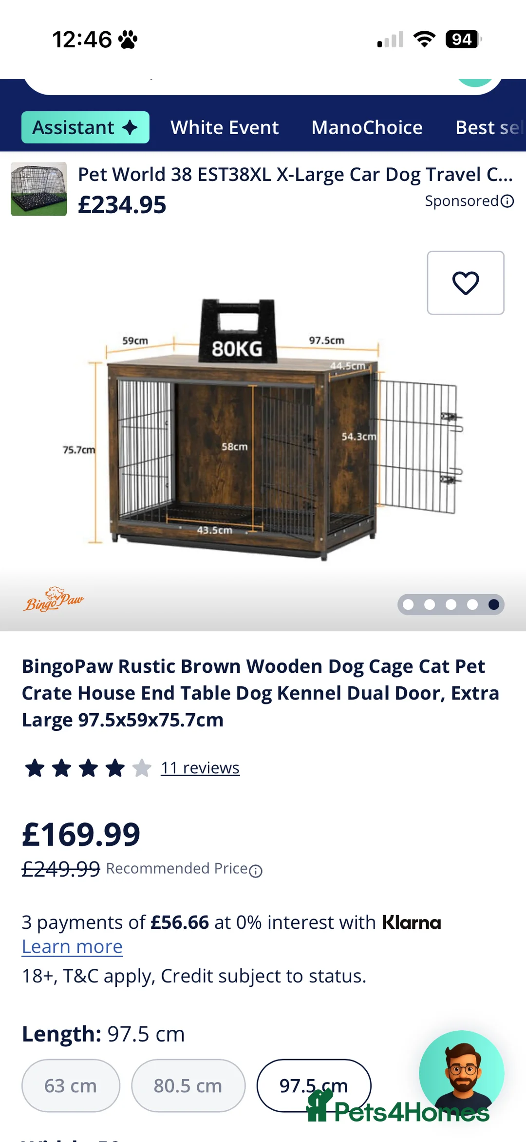 Beagle dogs for sale: KC Reg Pedigree Tri coloured beagles - Advert 10