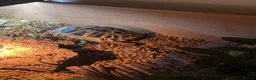 Hermann Tortoise reptiles for sale: Hermann tortoise  - Advert 4