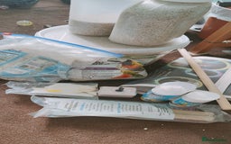 Budgerigars birds for sale: Budgies  - Image 8