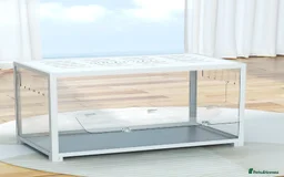 Gerbil rodents for sale: 2 male gerbils and set up  - Image 1