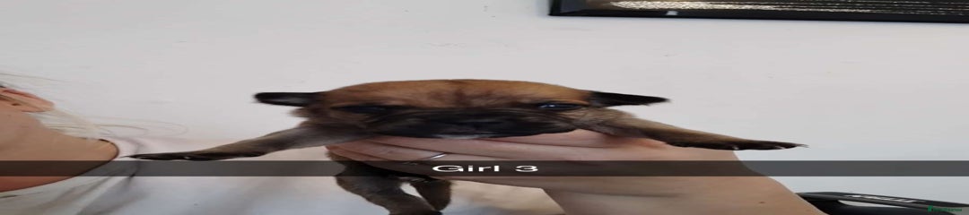 Girl 3