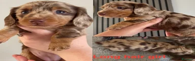 Long hair girl