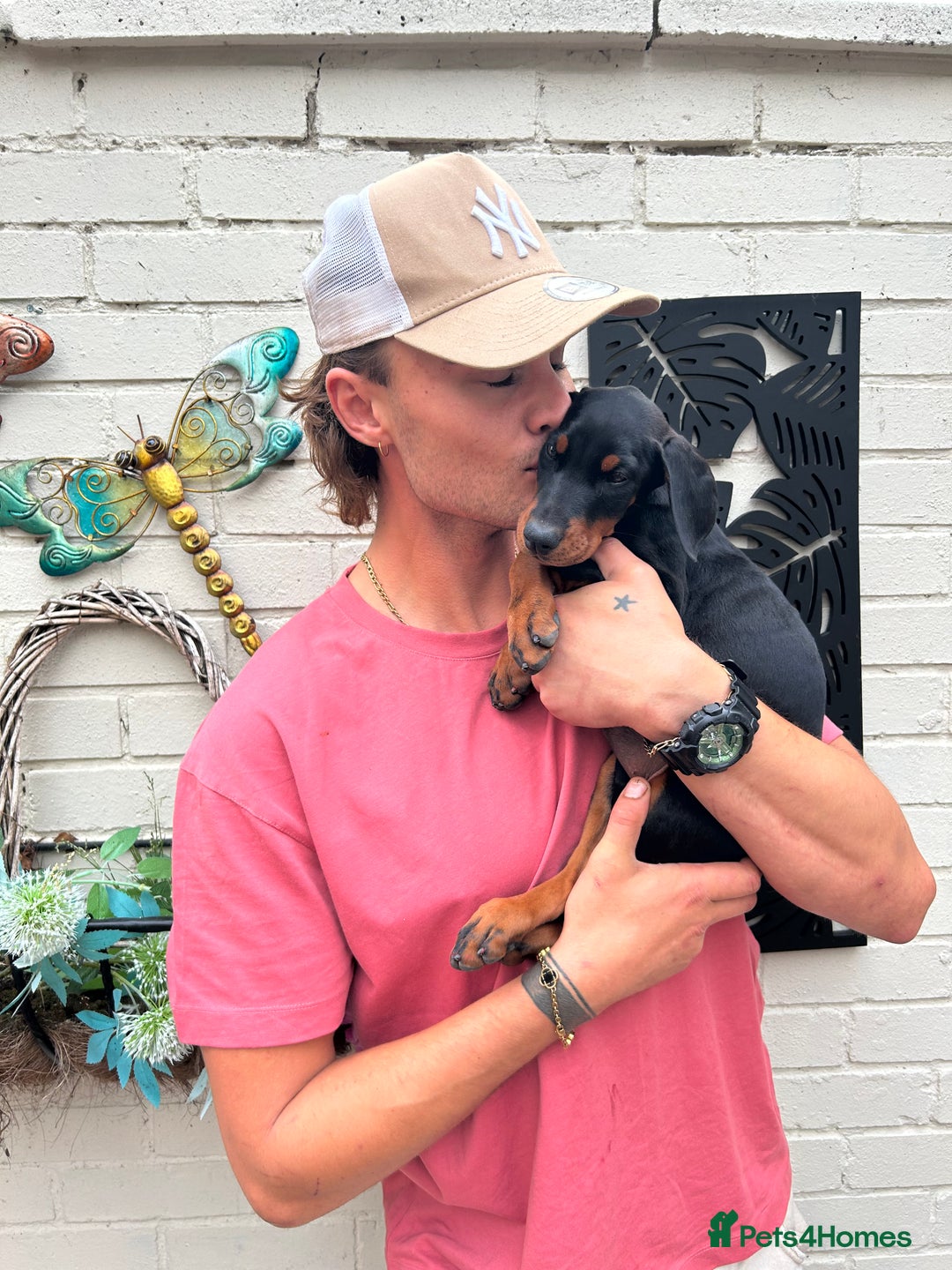 Dobermann dogs for sale: 🐾 Purebred Dobermann Puppies – Family Raised - Image 5