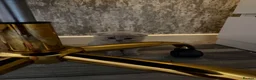 Scottish Fold cats for sale: Scottish fold / British short hair - Advert 6