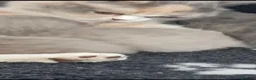 British Shorthair cats for sale: GCCF beauties ready to go. - Advert 15