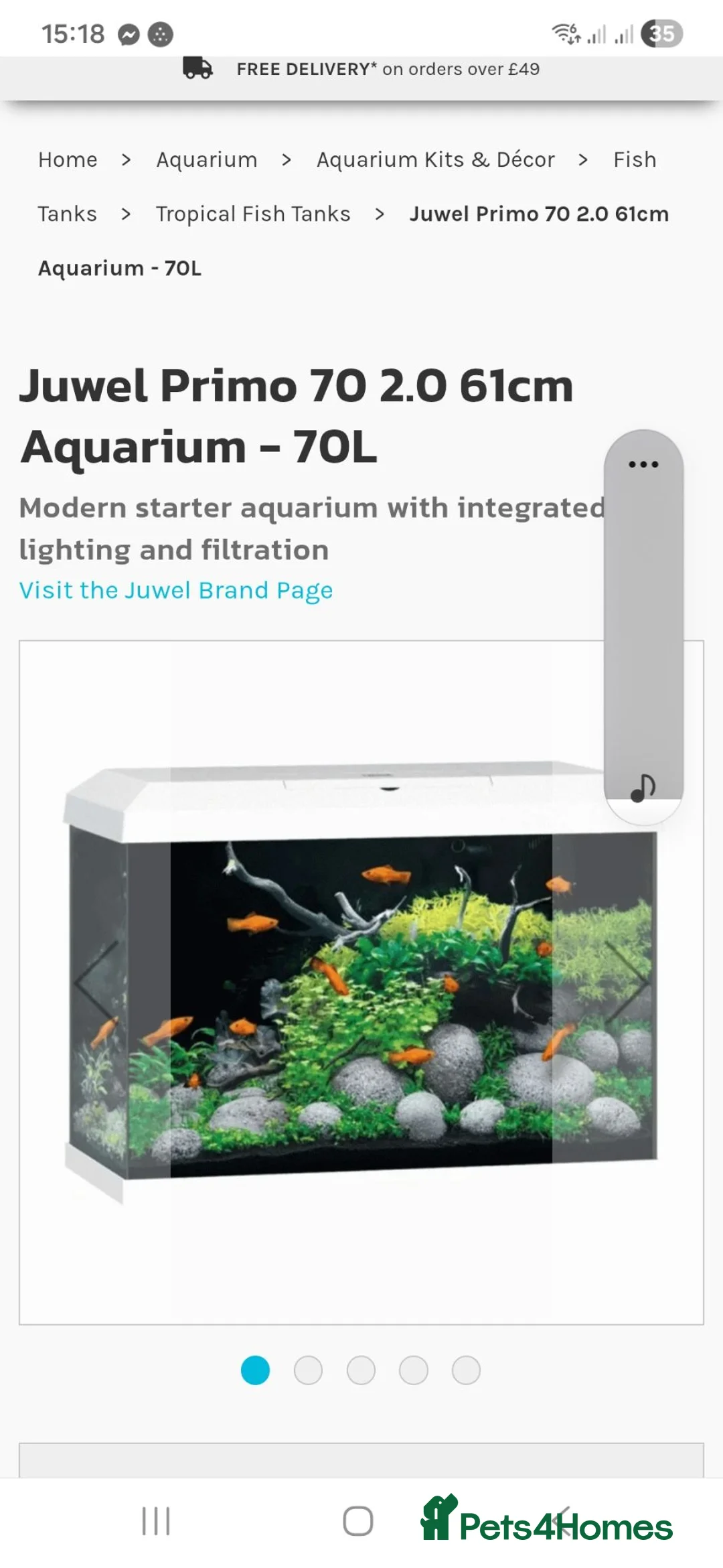 Goldfish fish for sale: Fish with tank in Saltburn-by-the-Sea - Advert 1