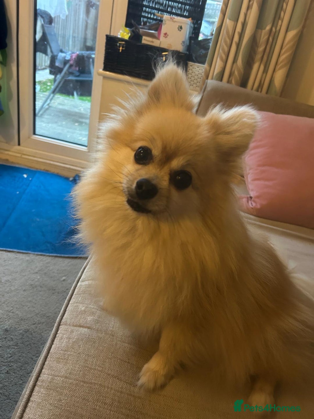 Gallery Image {{count}}