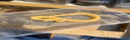 Mixed Breed reptiles for sale: Various snakes for sale  - Advert 1
