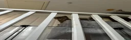 Mixed Breed cats for sale: Beautiful Tabby Kittens Looking for Loving Homes  in Dartford - Advert 13
